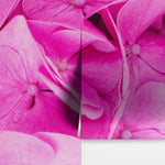 Pink Flowers Floral Wallpaper Mural. #6776