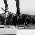 Skateboard Urban Park. Black and White Wall Mural. #7056