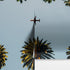 Southern California Palm Trees and Airplane Wallpaper Mural. #6283