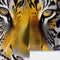 Glamour Chic Colorful Jungle Tiger Wall Mural. #6926