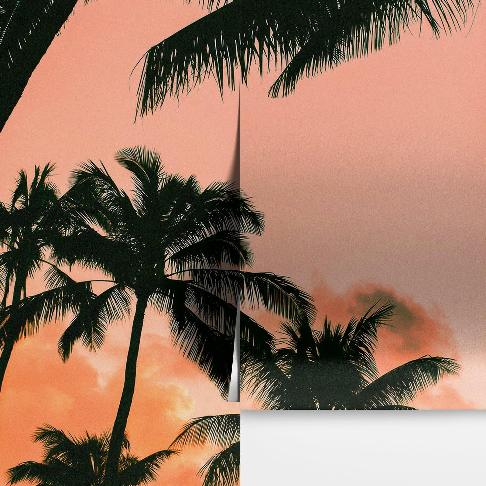 Sunset Wallpaper Mural. Palm Trees Tropical Vibe. #6871