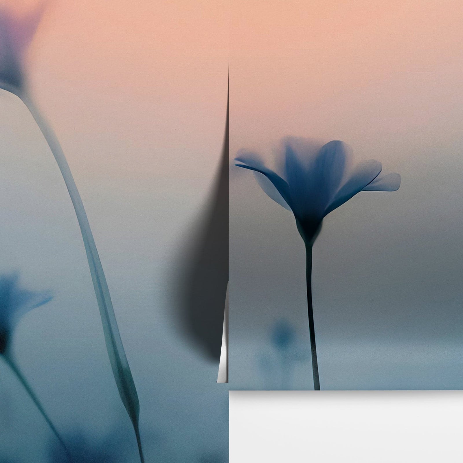 Morning Dew Misty Flower Wallpaper Mural. #7021