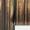 Forest Wallpaper Mural. Woodland Country Theme / Farmhouse Wall Decor. #6777