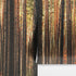 Forest Wallpaper Mural. Woodland Country Theme / Farmhouse Wall Decor. #6777