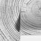 Tree Rings Wallpaper Mural. Black and White  Modern Wood Grain Circle Pattern. #7022