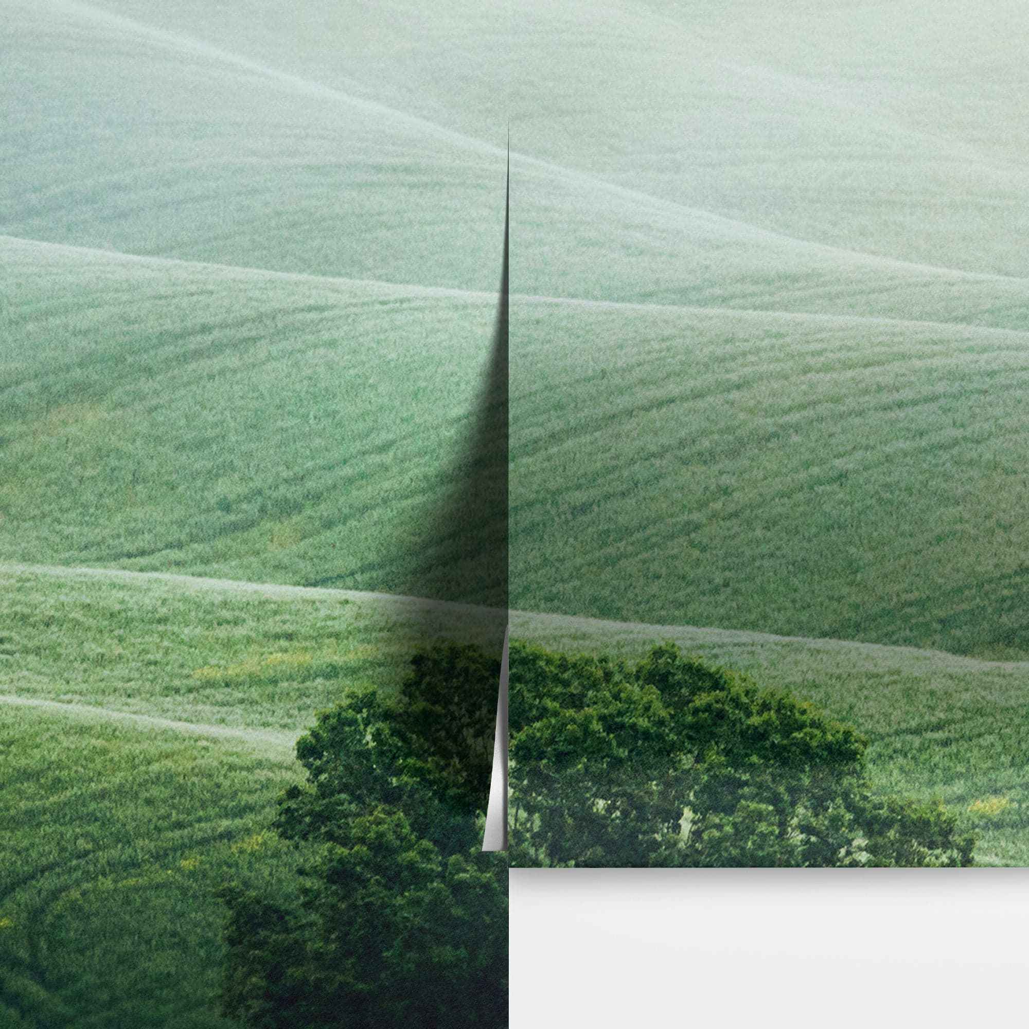 Tuscany Rolling Hills Meadow Wall Mural. Italian Countryside. #7053