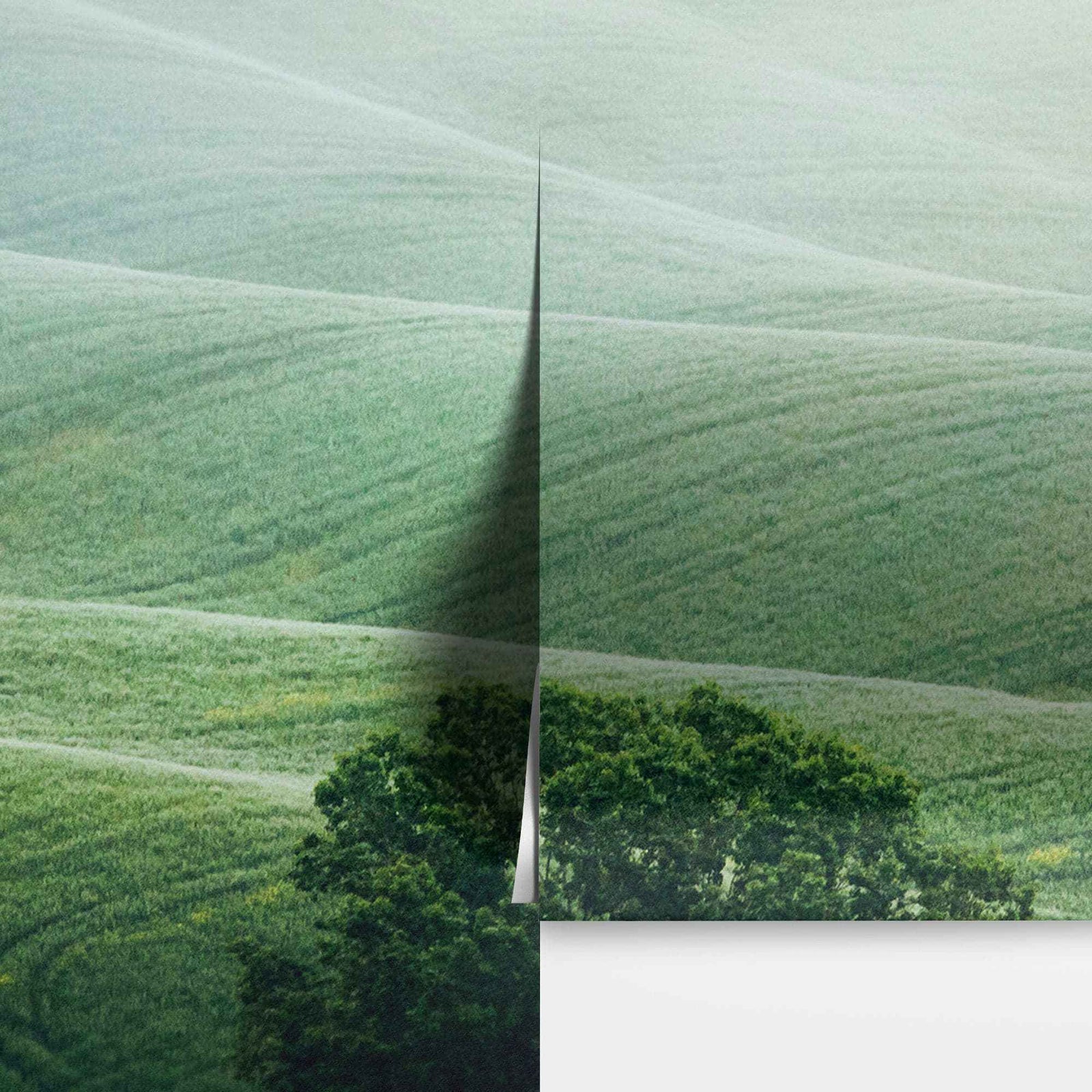 Tuscany Rolling Hills Meadow Wall Mural. Italian Countryside. #7053