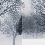 Black and White Snow Covered Trees Winter Landscape Wall Mural. #7042