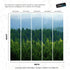 Green Forest Wallpaper Mural. Scenic Landscape Wall Mural. #6894