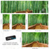 Japanese Bamboo Forest Arashiyama Woods Wall Mural #6043