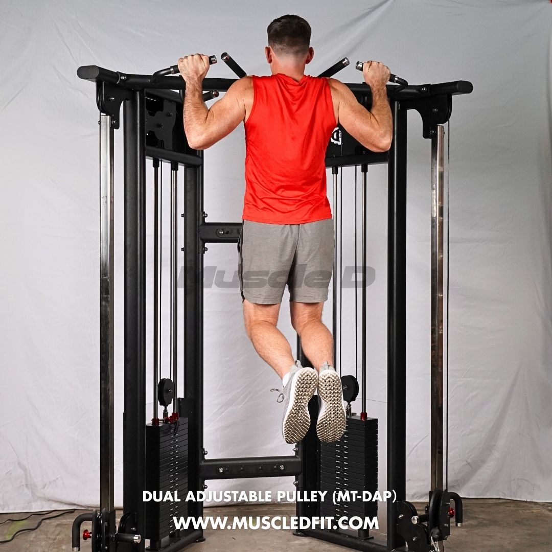 Muscle D Fitness 88