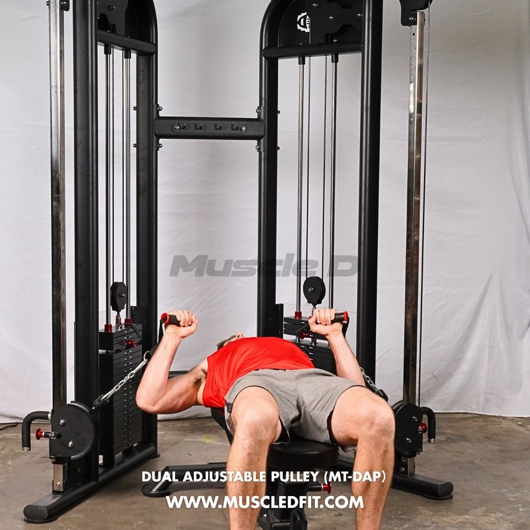 Muscle D Fitness 88