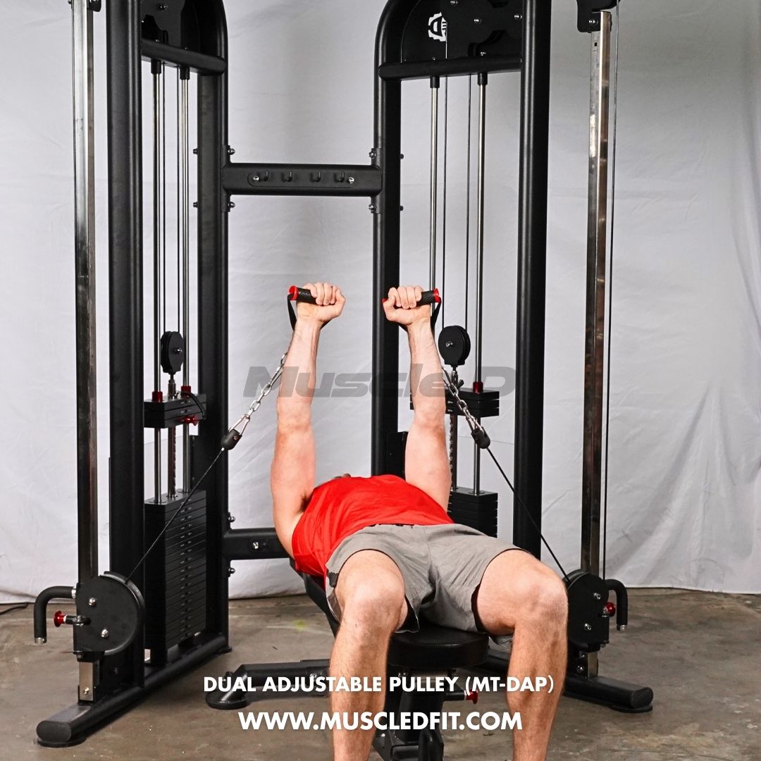 Muscle D Fitness 88