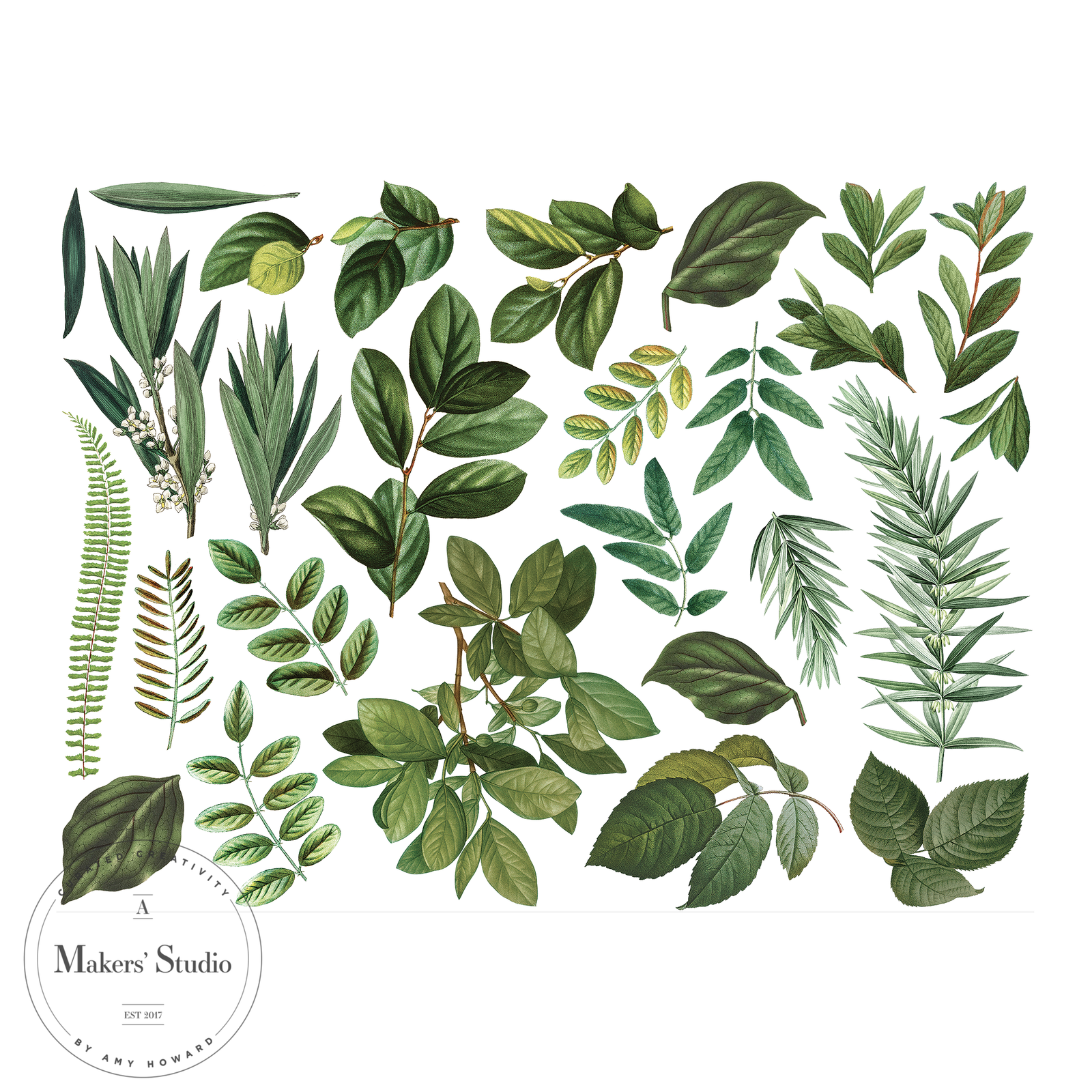 My English Garden - Color Transfer 16