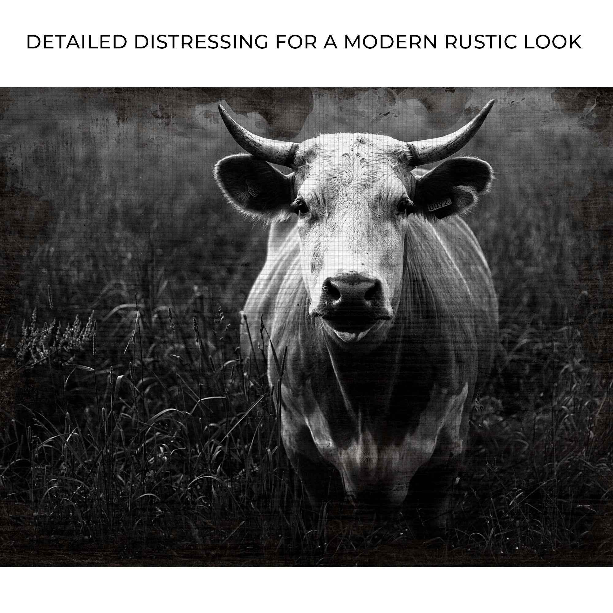 Longhorn Cattle Portrait Canvas Wall Art
