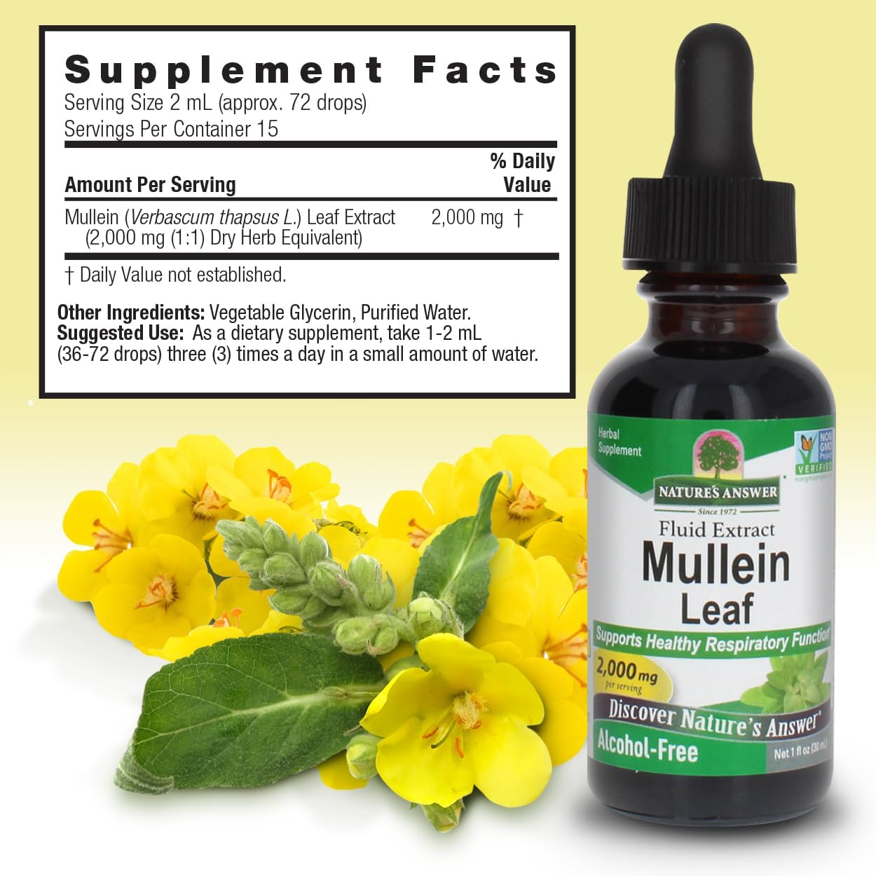 Nature's Answer Mullein Leaf Extract Alcohol-Free, Respiratory Support, 1 Fl Oz