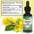 Nature's Answer Mullein Leaf Extract Alcohol-Free, Respiratory Support, 1 Fl Oz