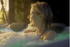 MSPA | OSLO | Frame Series | Rigid Hot Tub & Spa | Light up the night | Upto 6 Person