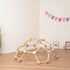 Wooden Climbing Dome