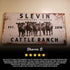 Personalized Cattle Ranch Rustic Sign II
