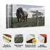 Classic Horse Family Name Sign