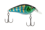 Primetyme CB 1.5