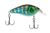Primetyme CB 1.5