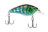 Primetyme CB 1.5