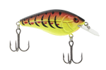 Primetyme CB 1.5