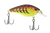 Primetyme CB 1.5