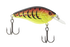 Primetyme CB 1.5