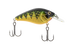 Primetyme CB 1.5