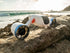 Mix Motor Front Cover - Underwater Scooter