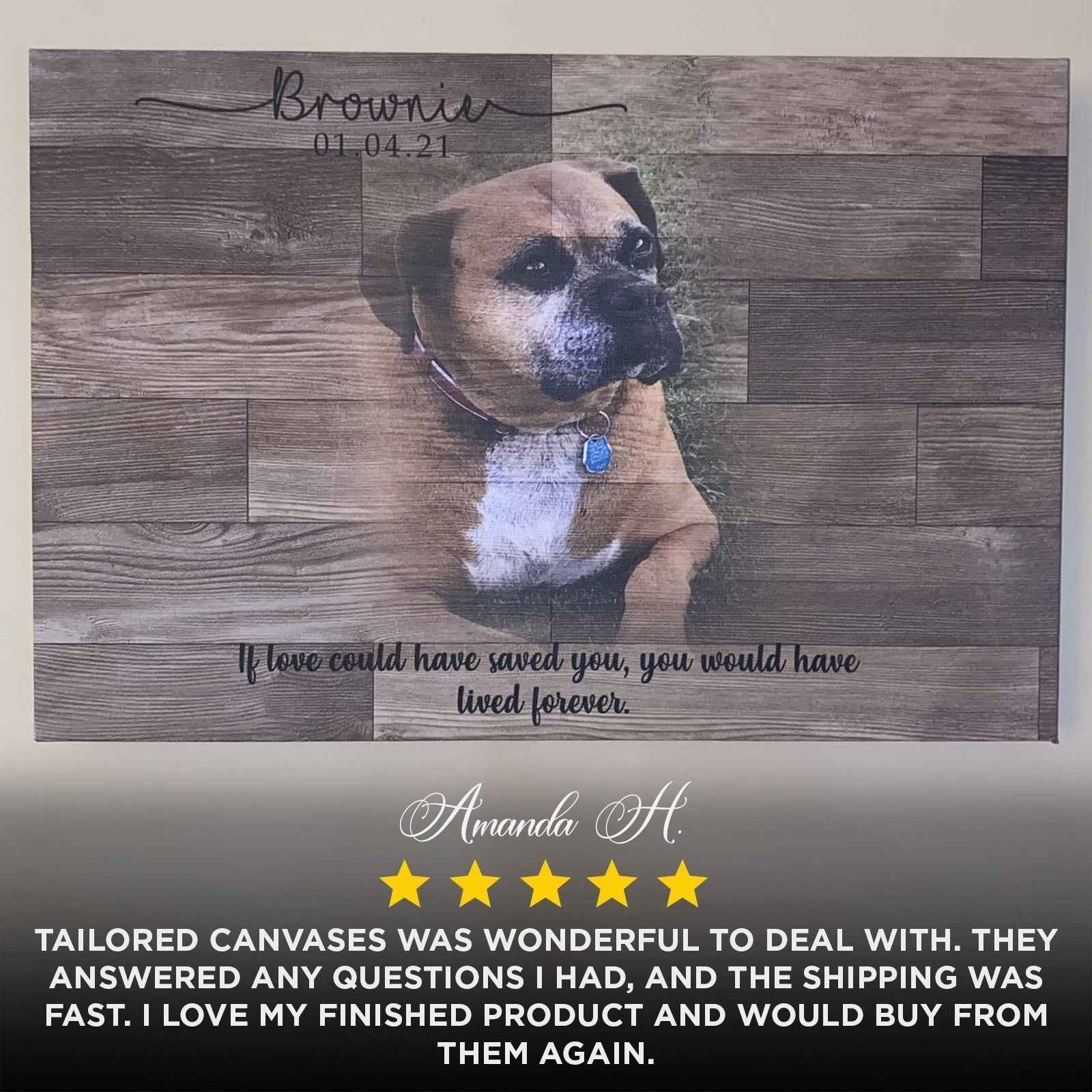 Wooden Animal Portrait Sign