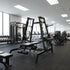 Excel Convergent Flat/Incline/Decline Bench – Muscle D Fitness