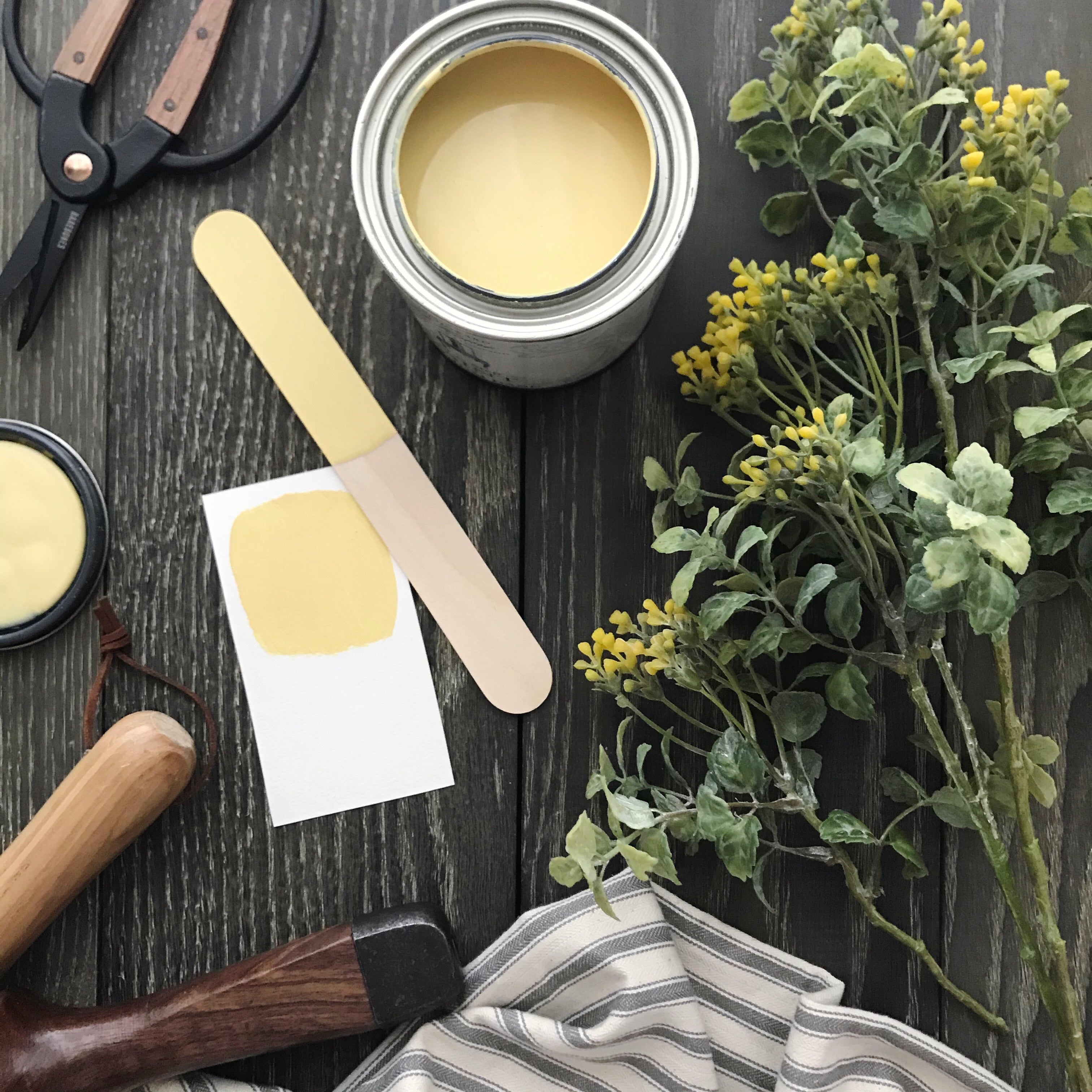 One Step Paint - Palm Beach