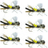 Parachute Chernobyl Ant Black Tan Foam Body Grasshopper Fly 6 Flies Hook Size 10