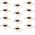 Barbless Pat's Rubber Legs Tungsten Bead Jigged Brown Euro Nymph  - Set of 12 Flies Hook Size 10