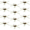 Barbless Pat's Rubber Legs Tungsten Bead Jigged Coffee/Black Euro Nymph  - Set of 12 Flies Hook Size 10