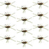 Barbless Pat's Rubber Legs Tungsten Bead Jigged Coffee/Black Euro Nymph  - Set of 12 Flies Hook Size 10