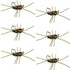 Barbless Pat's Rubber Legs Tungsten Bead Jigged  Coffee/Black Euro Nymph  - Set of 6 Flies Hook Size 10