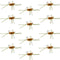 Barbless Pat's Rubber Legs Tungsten Bead Jigged Coffee/Tan Euro Nymph  - Set of 12 Flies Hook Size 10
