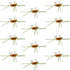 Barbless Pat's Rubber Legs Tungsten Bead Jigged Coffee/Tan Euro Nymph  - Set of 12 Flies Hook Size 10