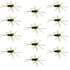 Barbless Pat's Rubber Legs Tungsten Bead Jigged Dark Olive Euro Nymph  - Set of 12 Flies Hook Size 10