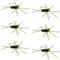 Barbless Pat's Rubber Legs Tungsten Bead Jigged Dark Olive Euro Nymph  - Set of 6 Flies Hook Size 10