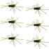 Barbless Pat's Rubber Legs Tungsten Bead Jigged Dark Olive Euro Nymph  - Set of 6 Flies Hook Size 10