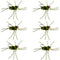 Barbless Pat's Rubber Legs Tungsten Bead Jigged  Olive/Black Euro Nymph  - Set of 6 Flies Hook Size 10