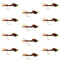 Tungsten Bead Head  Pheasant Tail Nymph 1 Dozen Flies  Size 14