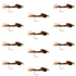 Tungsten Bead Head  Pheasant Tail Nymph 1 Dozen Flies  Size 14