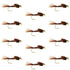 Bead Head Pheasant Tail Nymph 1 Dozen Fly Fishing Flies  Size 10
